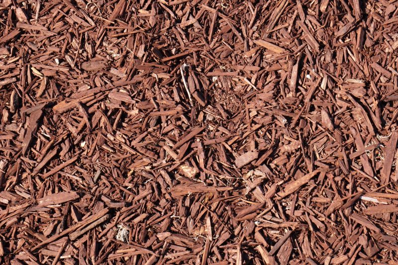 Finished Bark Mulched Garden Bed