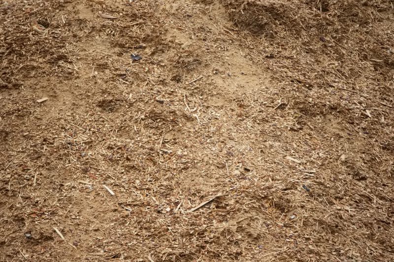 Bark Blowing Service