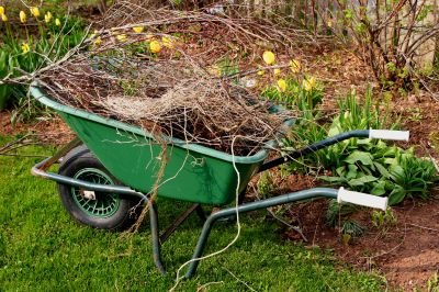 Lawn Debris Disposal