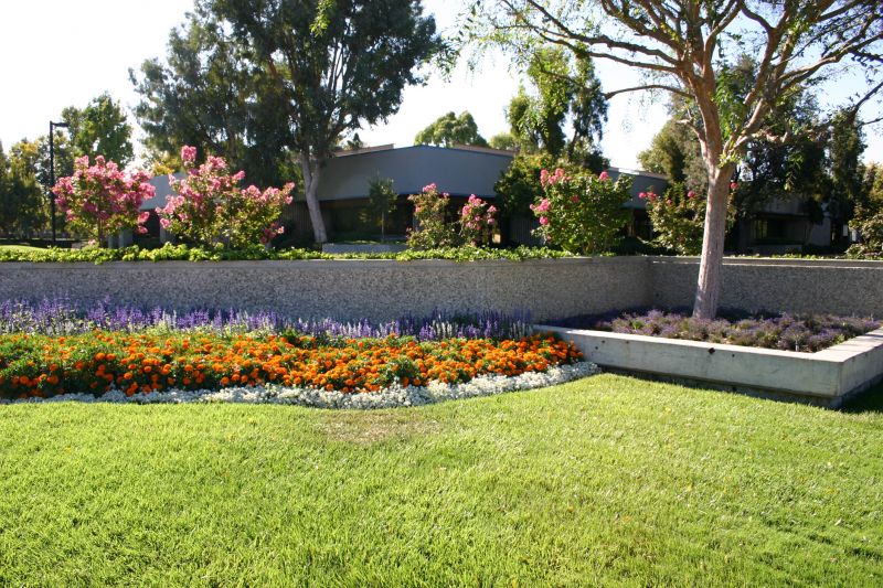 Park Landscaping in Honolulu, HI