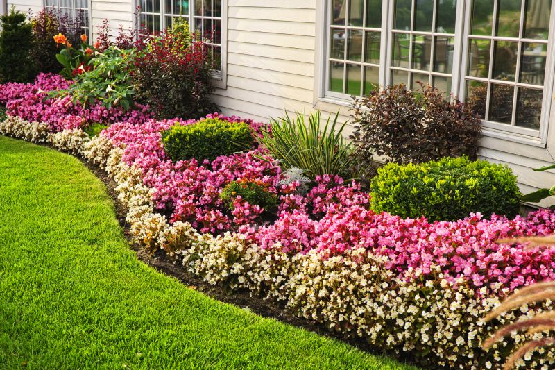 Shrub Planting Service in Ventura County, CA