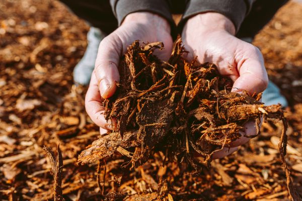 Bark Chips Delivery - Bark Chips Delivery Bentonville, Arkansas